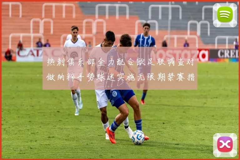 热刺俱乐部全力配合欧足联调查对做纳粹手势球迷实施无限期禁赛措施