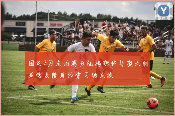 国足3月友谊赛分组揭晓将与澳大利亚喀麦隆库拉索同场竞技