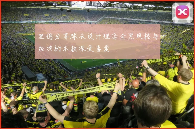里德分享球衣设计理念全黑风格与经典树木款深受喜爱