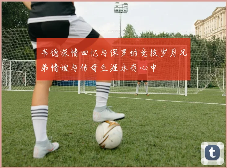 韦德深情回忆与保罗的竞技岁月兄弟情谊与传奇生涯永存心中